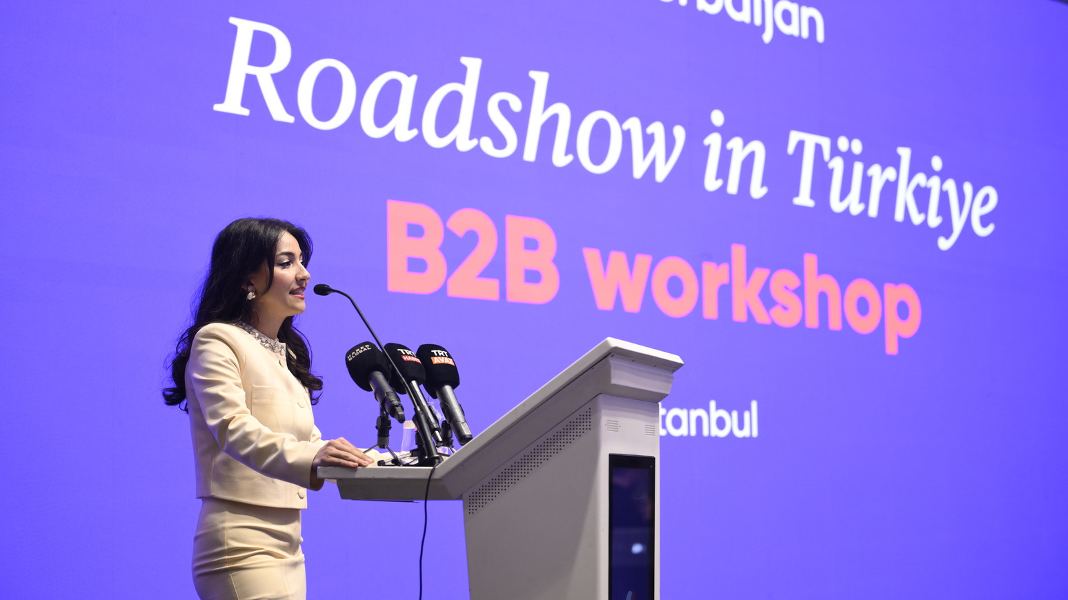 Azərbaycanın turizm imkanları Türkiyədə silsilə tədbirlər çərçivəsində təqdim olunub